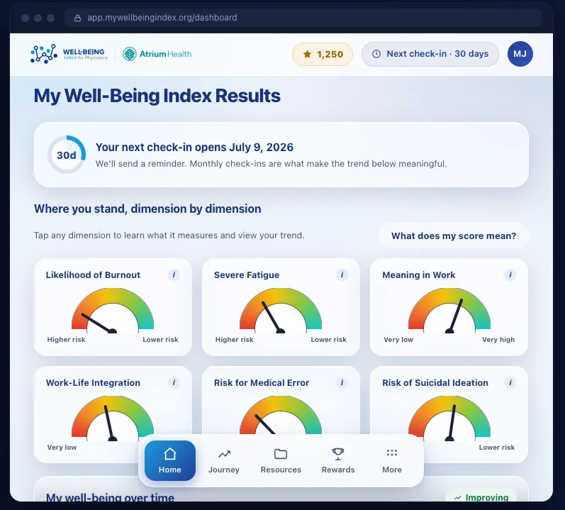 Well-Being Index results dashboard showing six gauge cards, one per clinical dimension